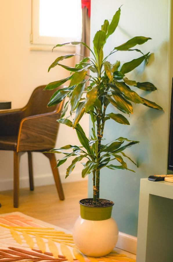 Bright Apartment Close To City Center Tirana Buitenkant foto
